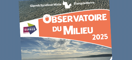 Rapport 2025 de l'Observatoire du milieu