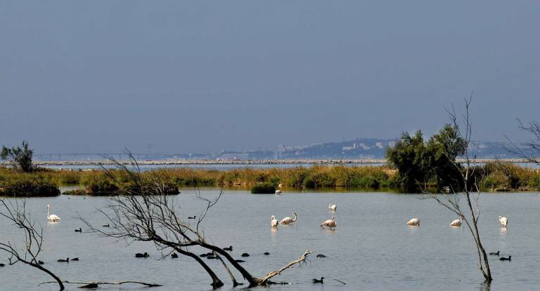 40-Etang-Berre-09-2010