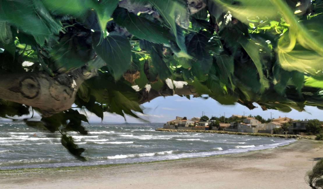 France - Etang de Berre : Le Ranquet.
Juillet 2008