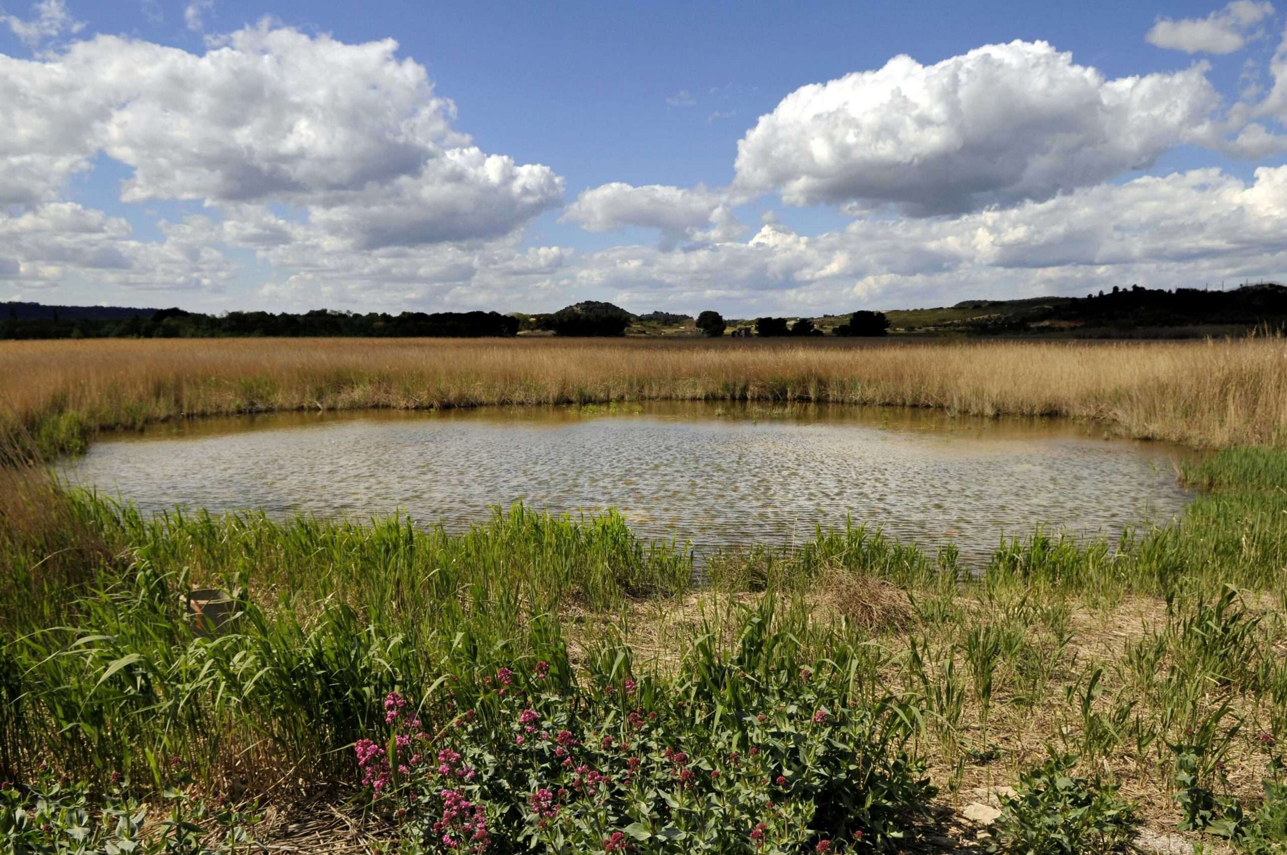 Les différents types de pêche - GIPREB - Etang de Berre