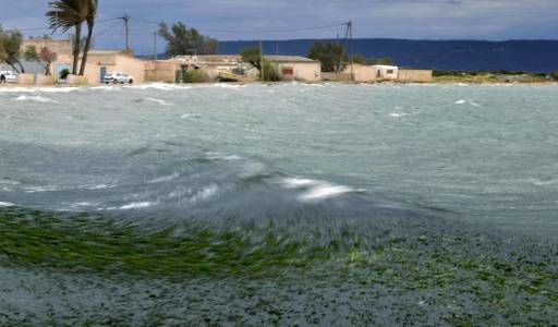  quartier La Suzane  Plage Champigny
Berre l'Etang M.Torres