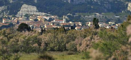 Etang de Bolmon Chateauneuf-les-Martigues M.Torres