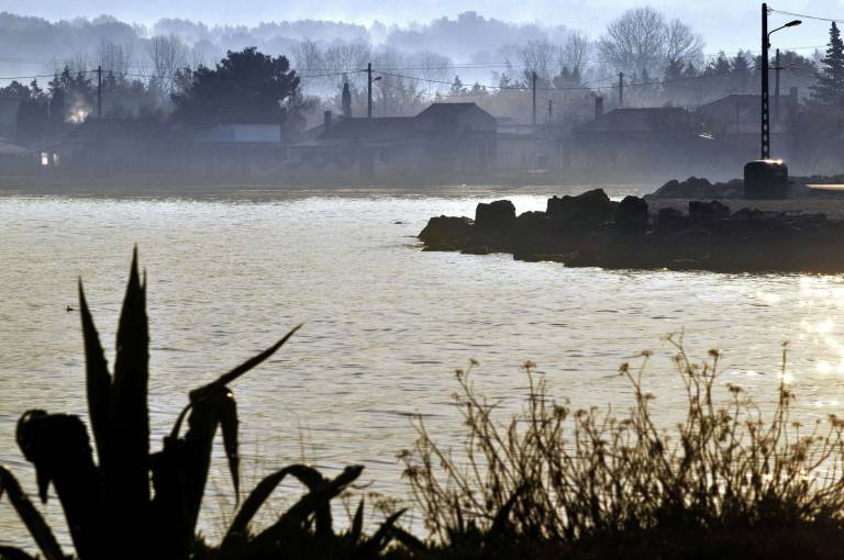 FRANCE Etang De Berre (13) Entre Massane Et Varage 13 Février 2008