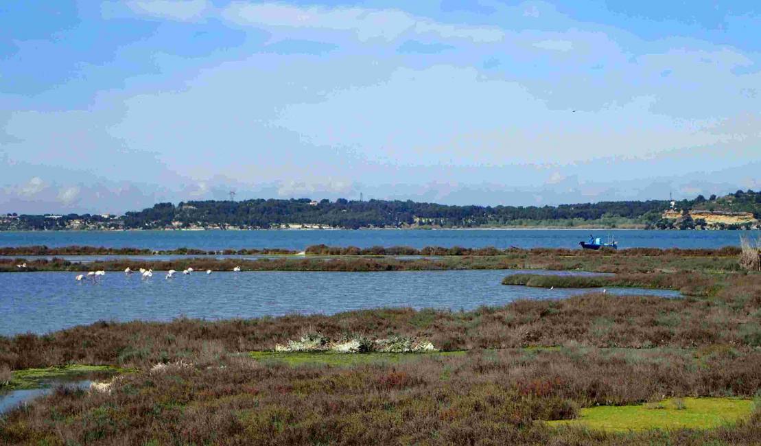 Sansouire des Palous