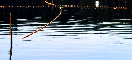 Maintien de l’interdiction de pêche
