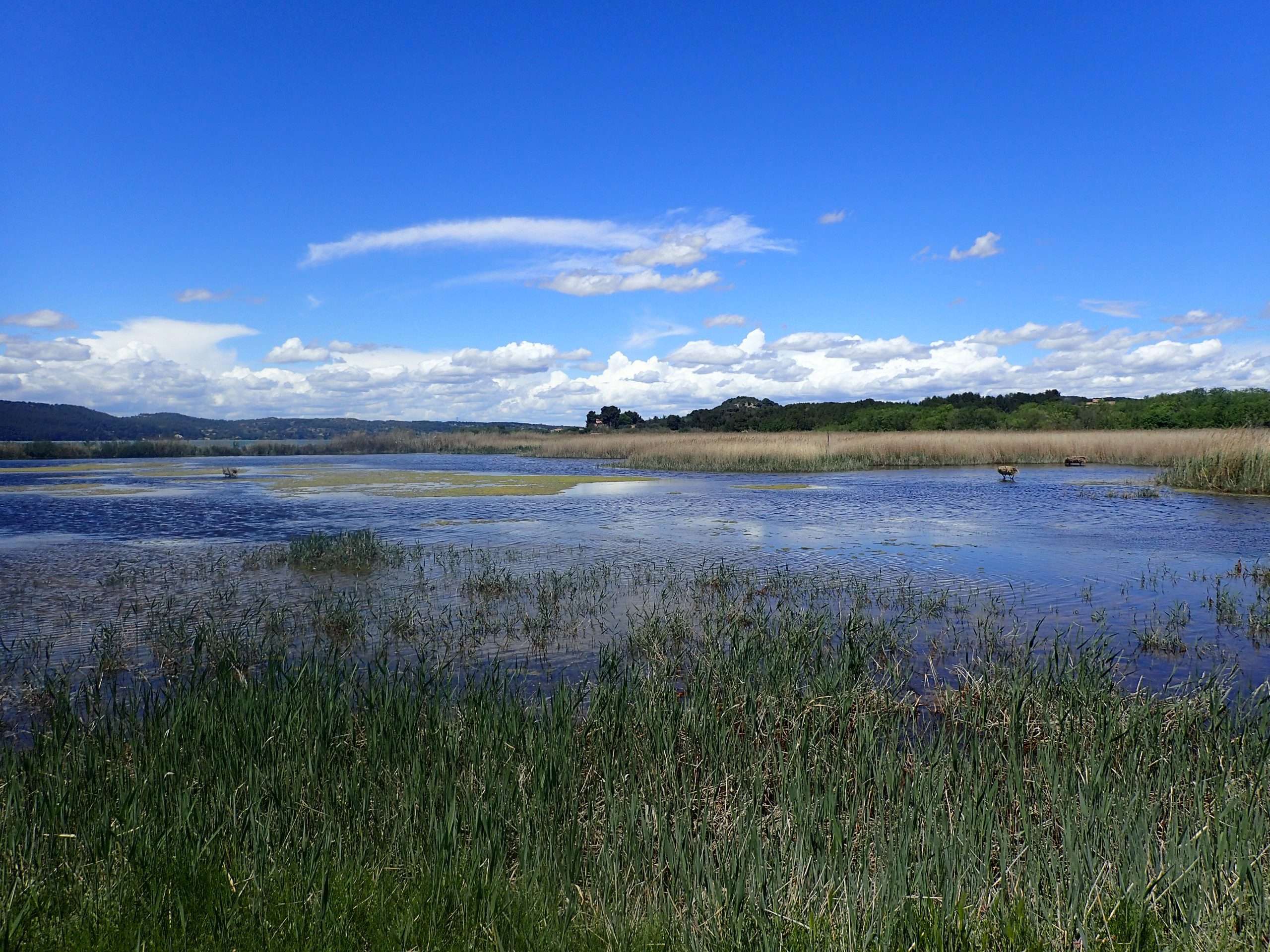 Les différents types de pêche - GIPREB - Etang de Berre