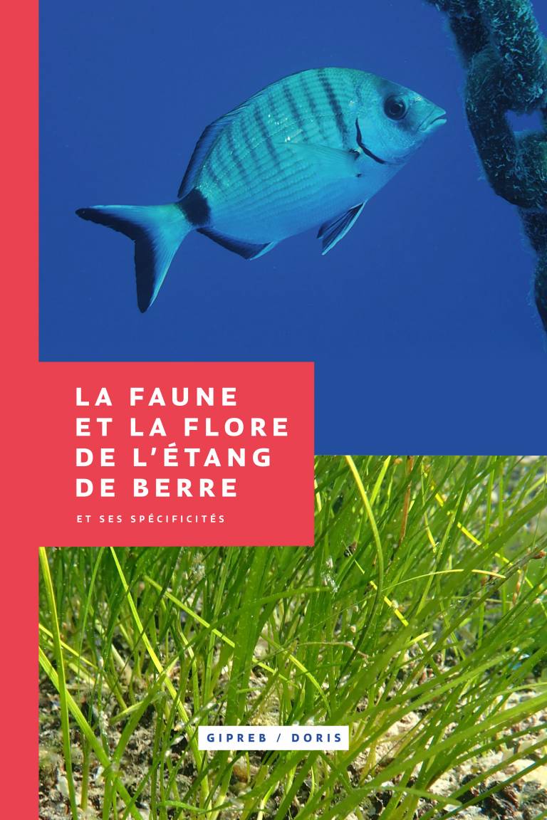 Catalogue Faune JUIN 2024 HD 1