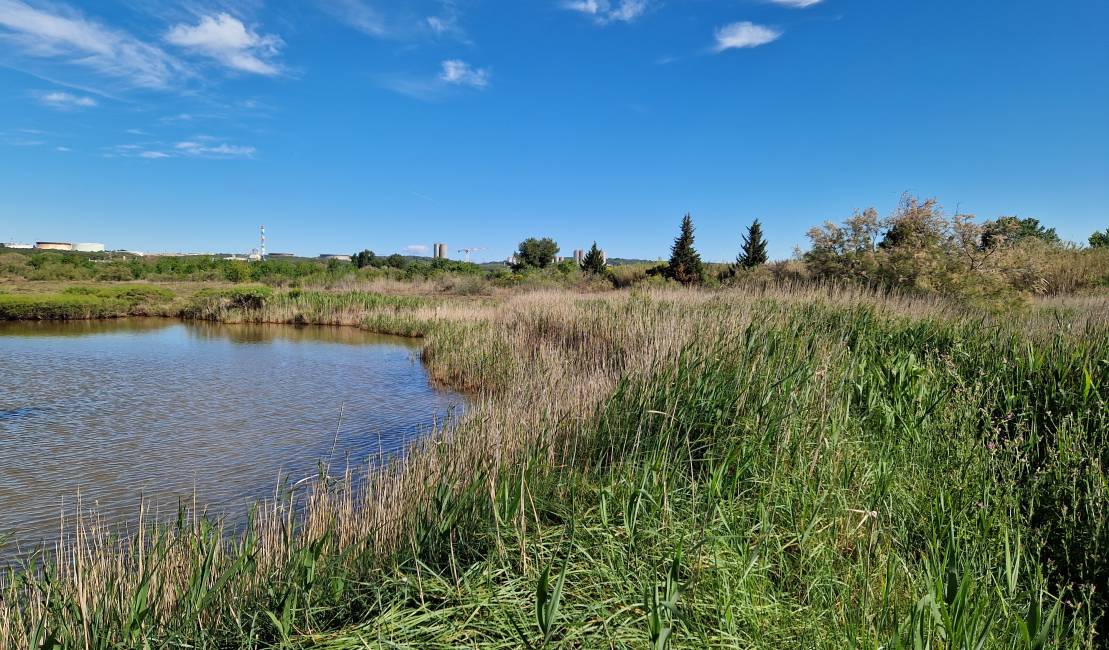 Marais de la Tête Noire
