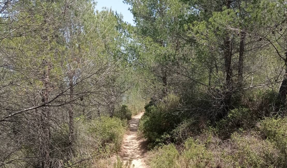 Les collines de Cadéraou