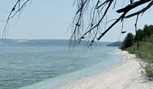 Plage sauvage