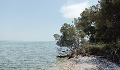 Plage sauvage