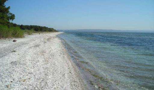 Plage de Figuerolles