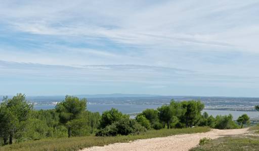 En arrivant au panorama sur les étangs