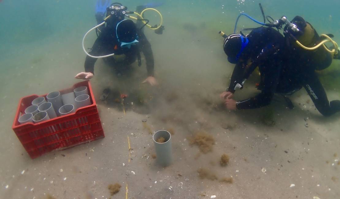 Plantation en bouteille...