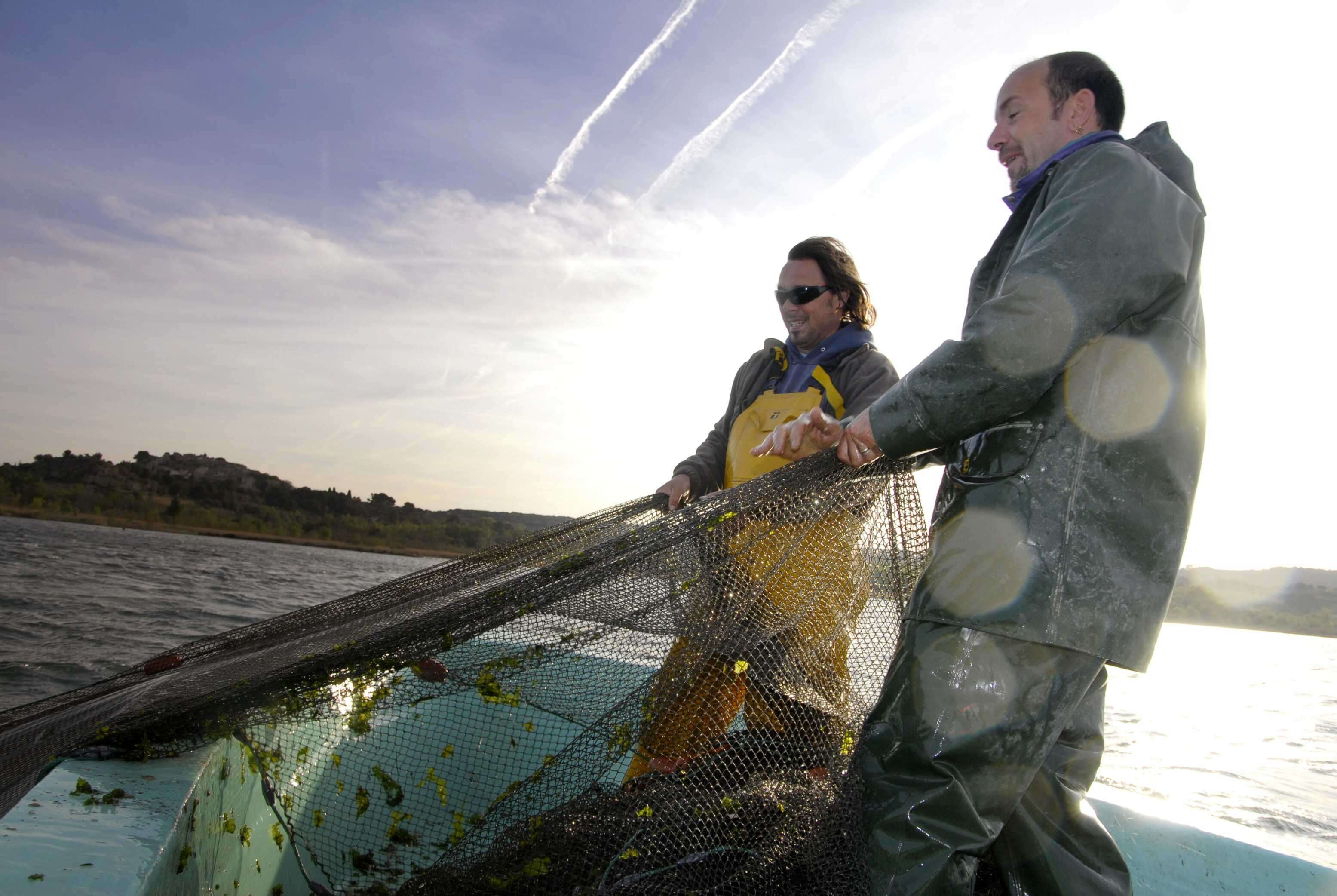 Comment Pecher La Dorade Dans L'étang De Berre