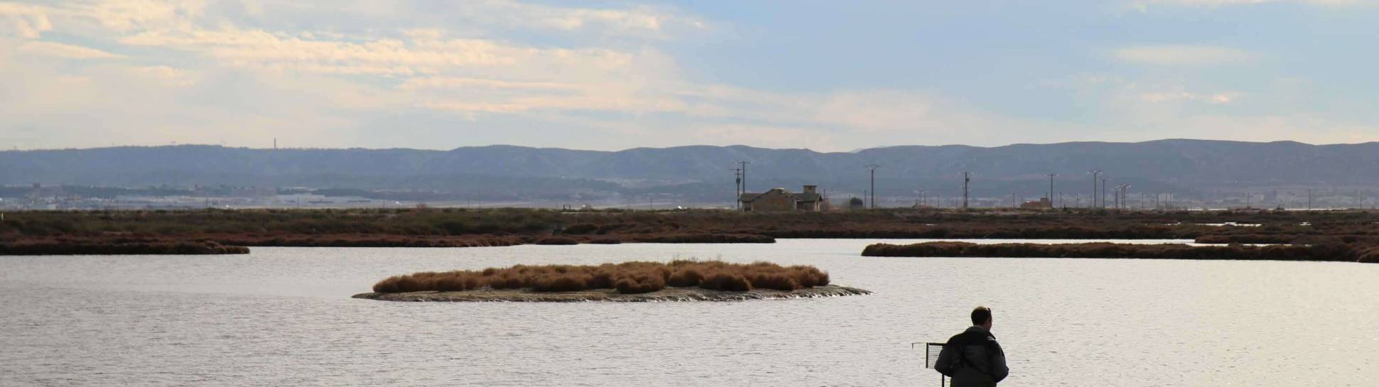 Salins De Berre 2018 Niche